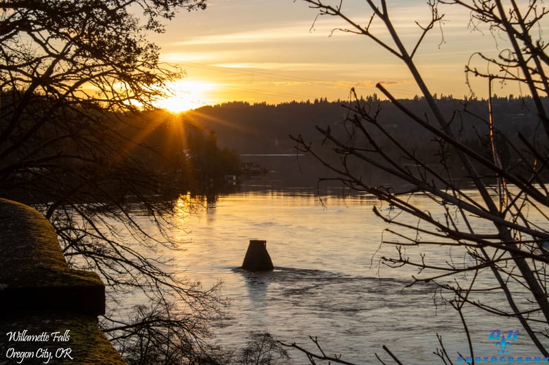Willamette River Overlook