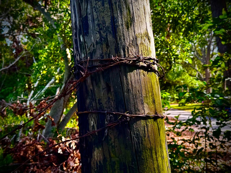Dunedin Trailside Rustic Detail