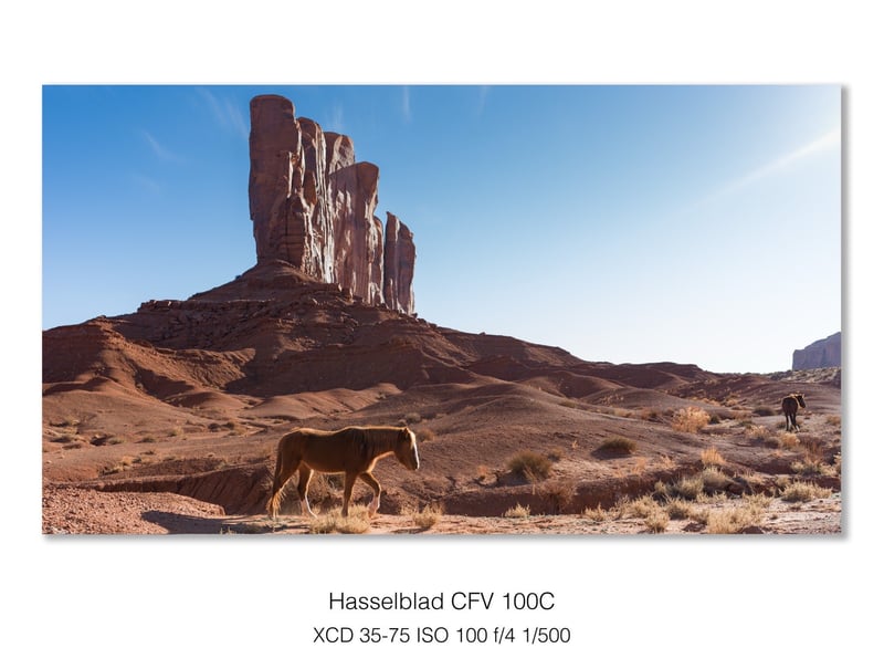 Yei Bi Chei, Monument Valley