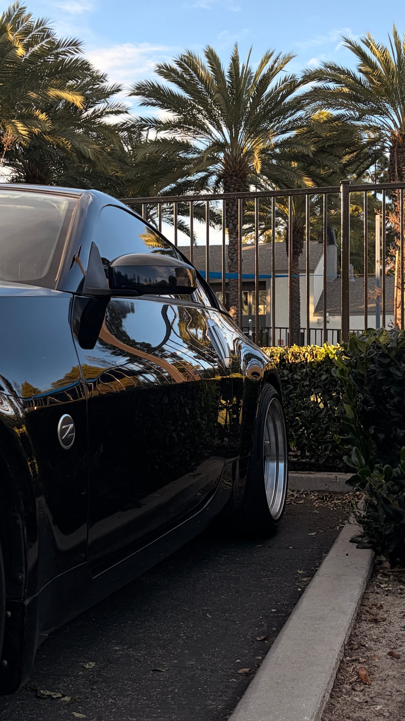 Costa Mesa Palm Parking Area