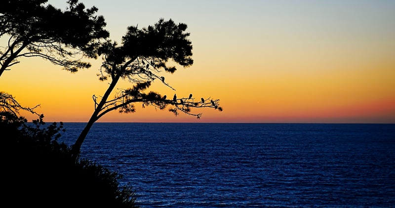 La Jolla Coast Walk Trail
