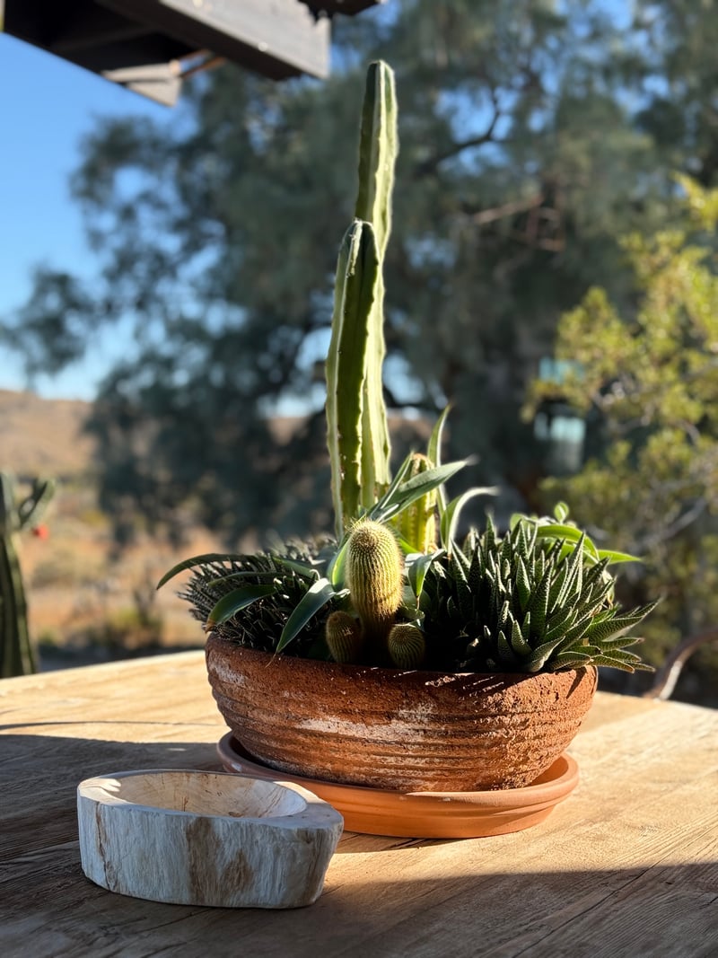 Twentynine Palms Desert Patio