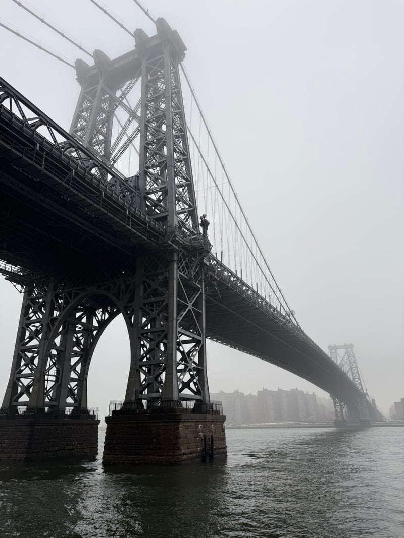 Williamsburg Bridge from Domino Park
