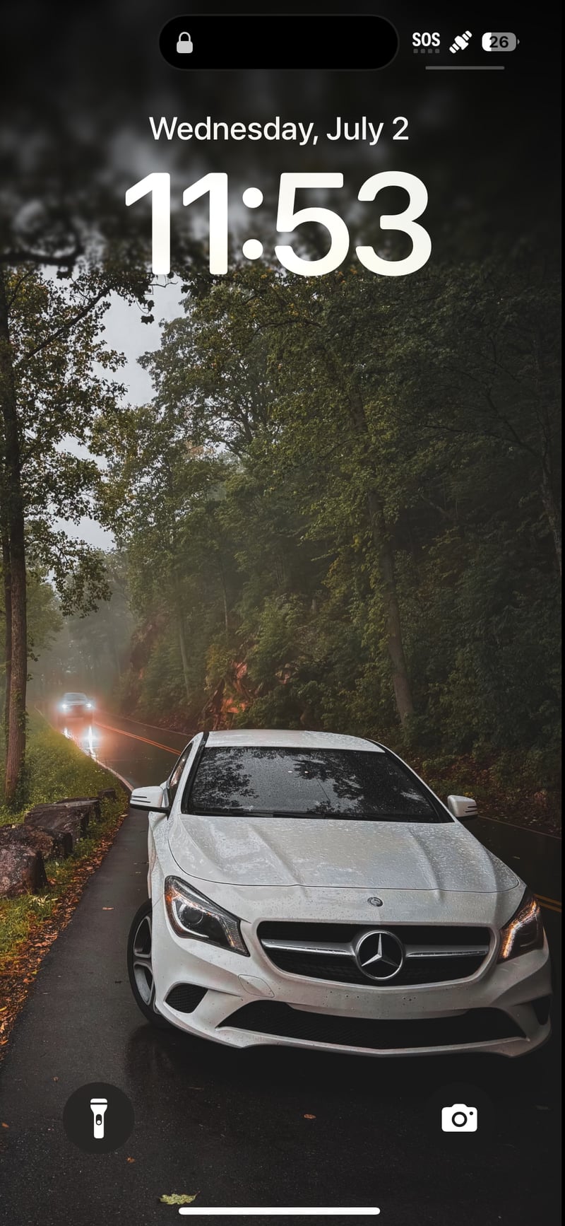 Lexington Forest Backroad