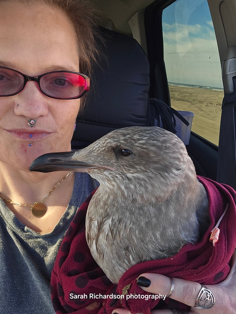 Pacific Northwest Coastal Beach