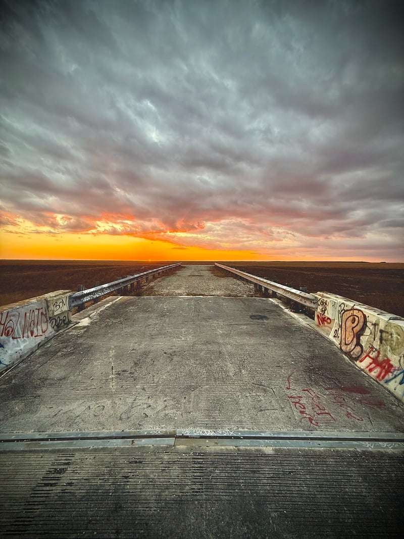 Abandoned Everglades Road
