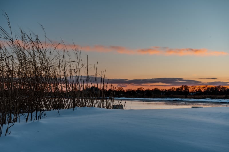 Blue Point Wetlands