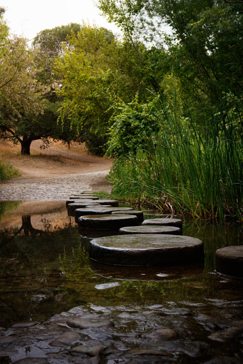 Santiago Creek Stepping Stones