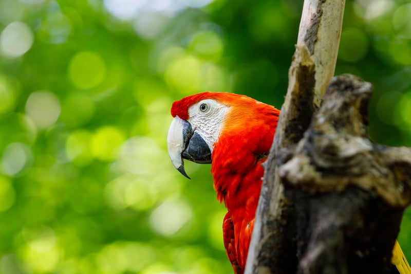 Queens Zoo