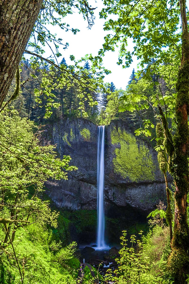 Latourell Falls
