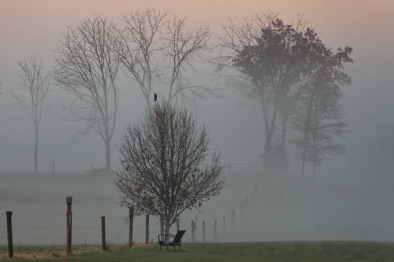 Lancaster County Farmland