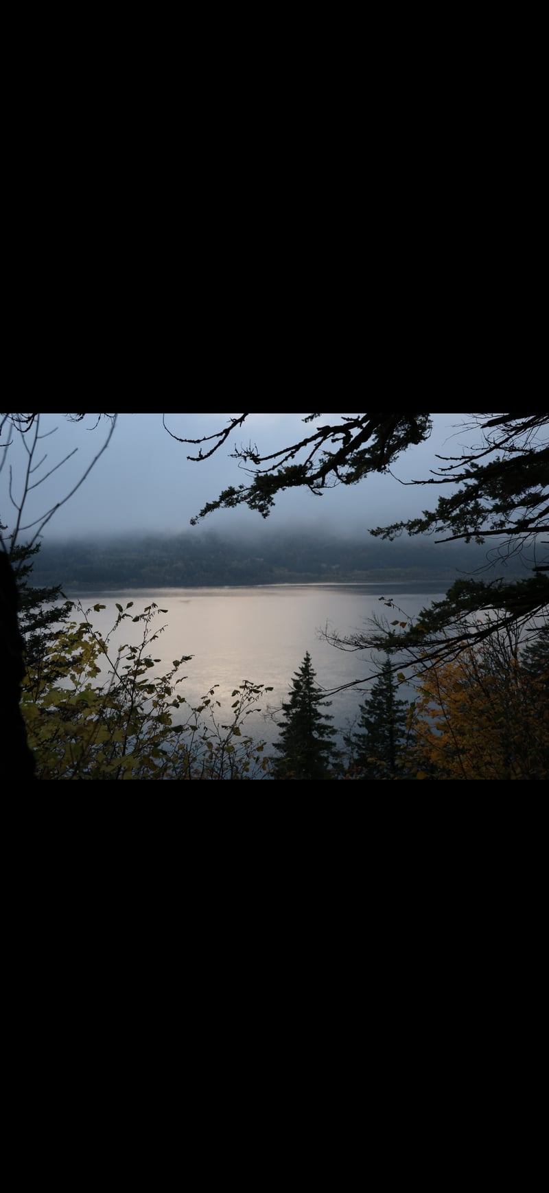 Columbia River Gorge Overlook