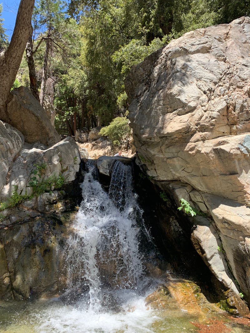 Forest Falls Cascade