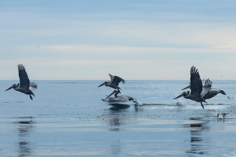 Ocean Beach Waterfront