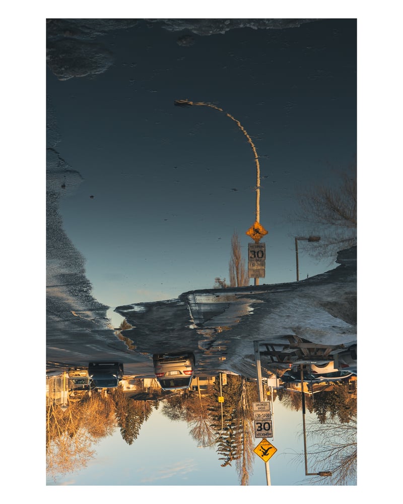 Fairway Drive Puddle Reflection