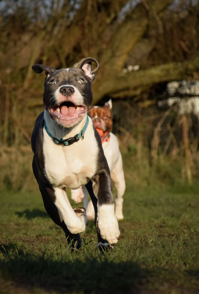 Windle Hill Countryside