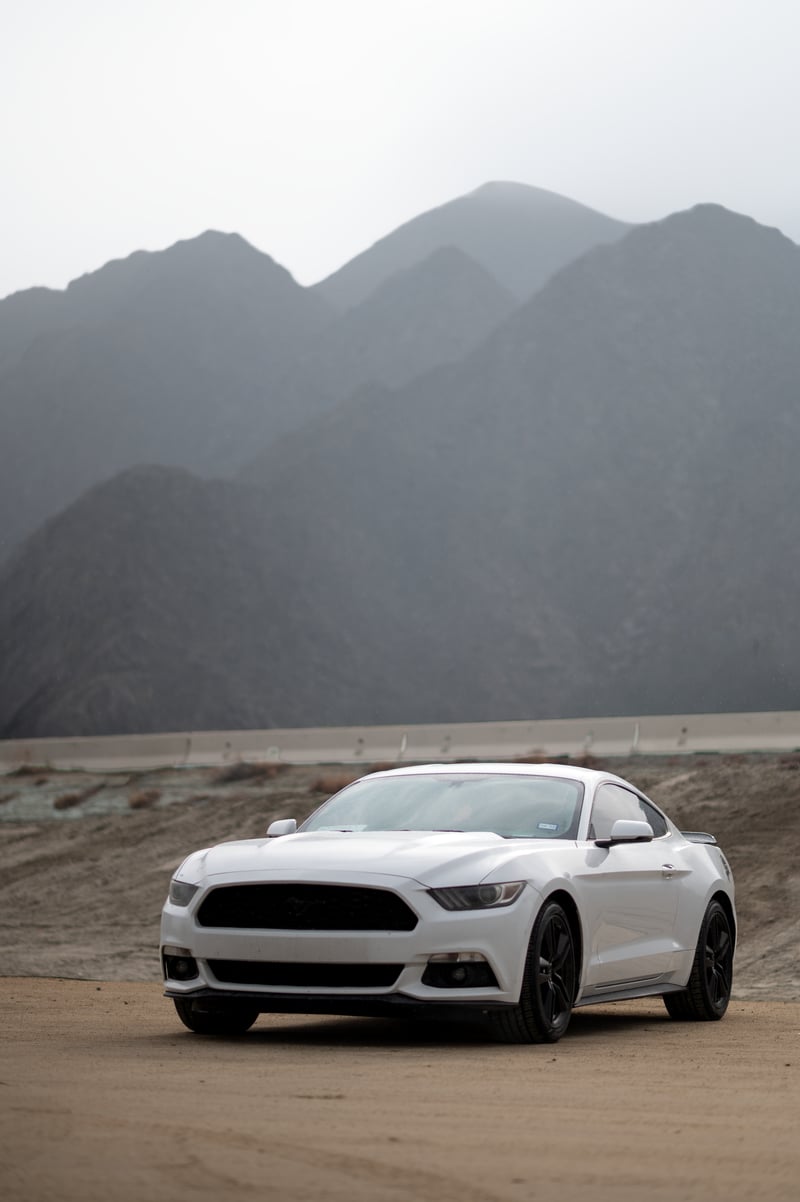 Santa Rosa Mountains Vista