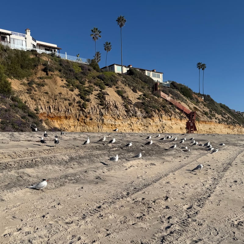Encinitas Beach Cliffs