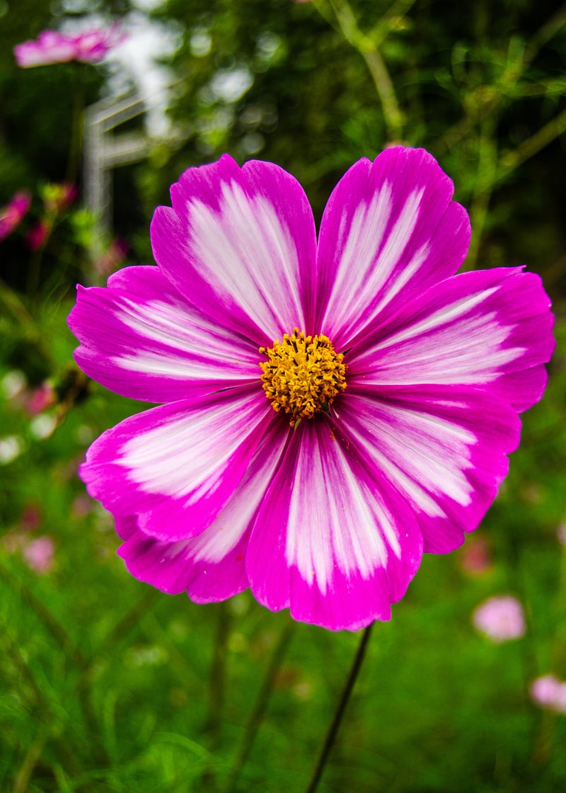 Marquam Nature Park Trails