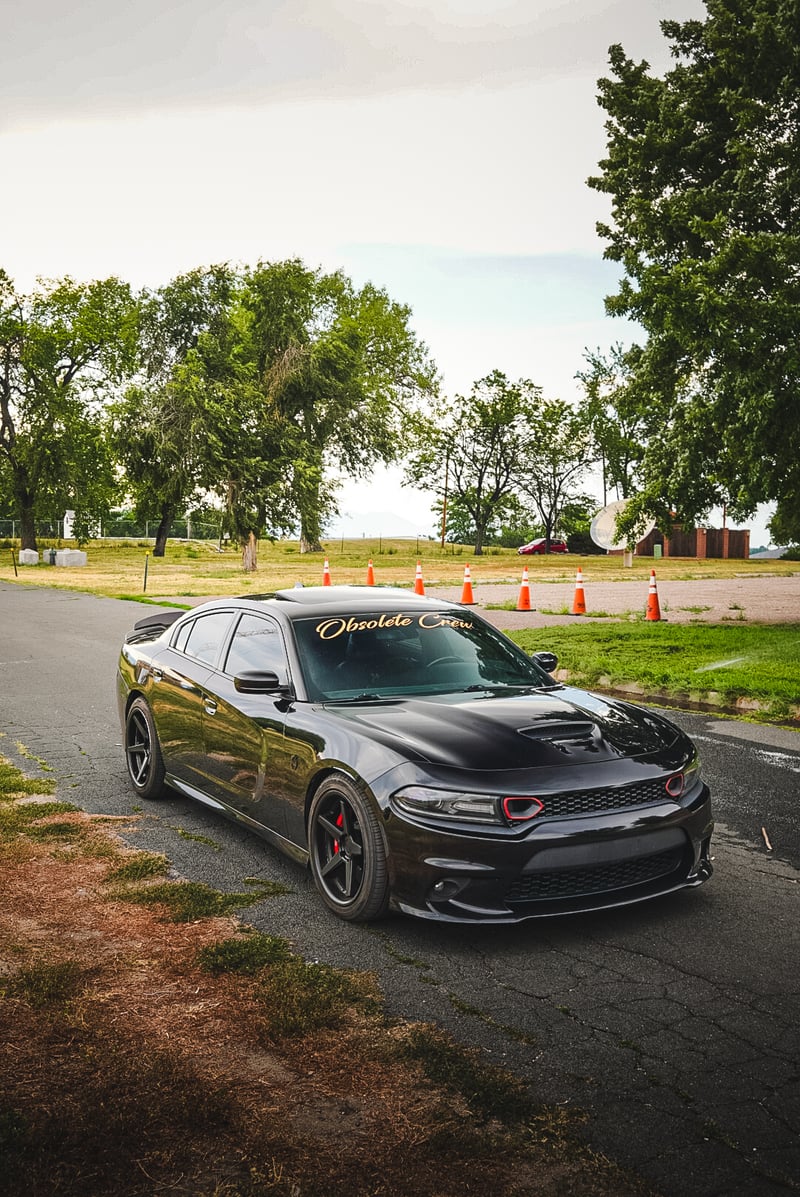 Expo Park Area Roadway