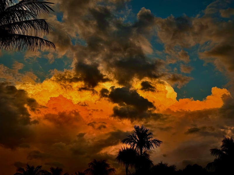 North Miami Beach Sunset Silhouette