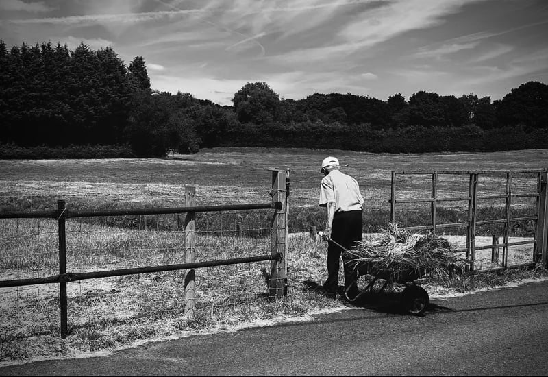 Wheelock Country Lane
