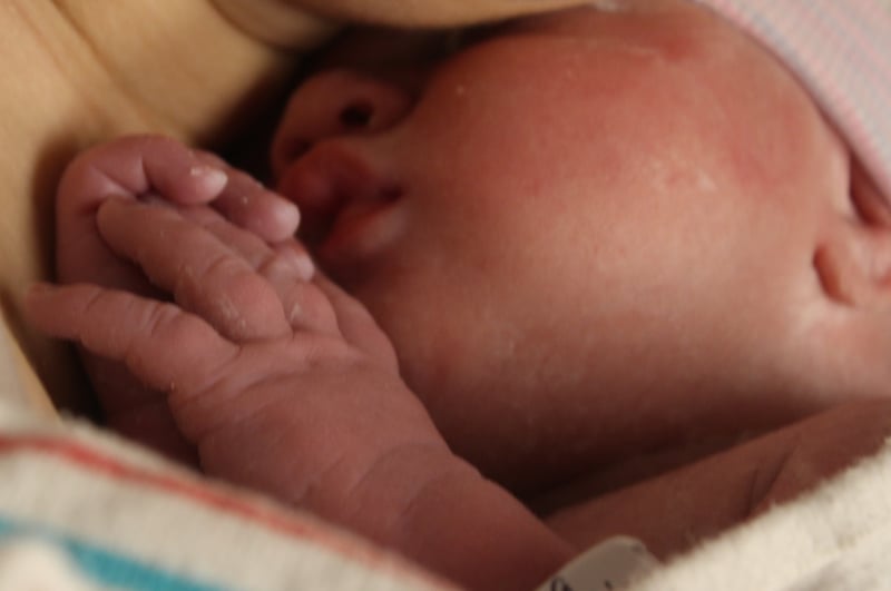 Indoor Portrait Setting - The Woodlands