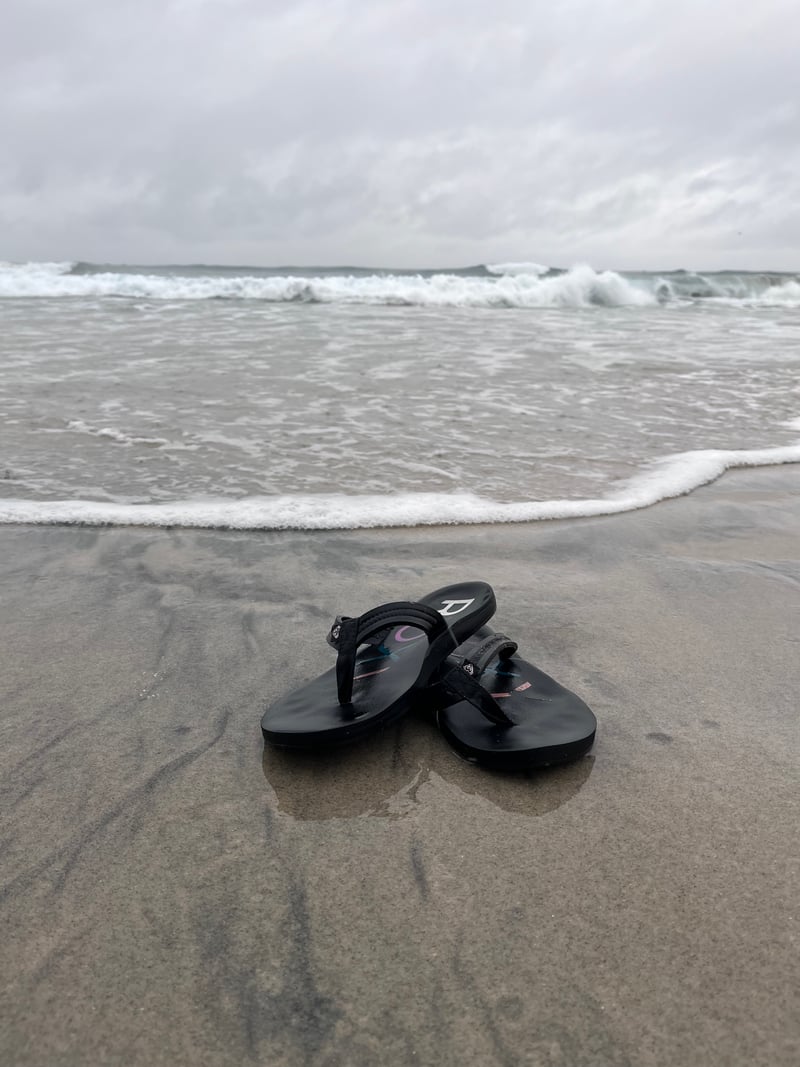 Carlsbad State Beach