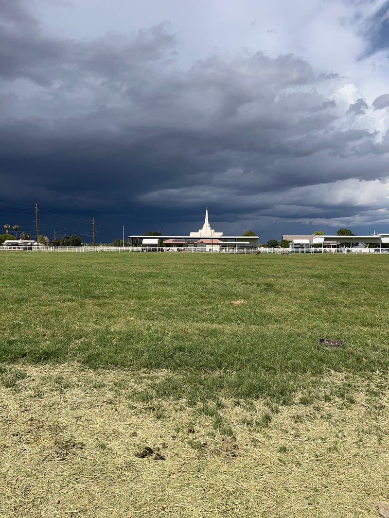 Gilbert Arizona Temple View