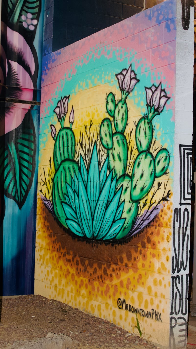 Buckeye Cactus Mural