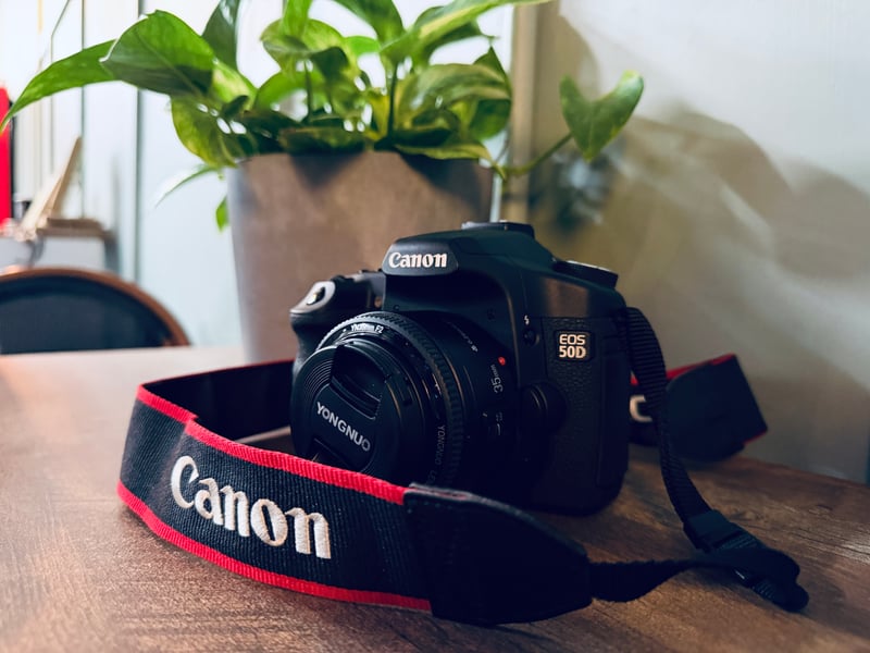 Desktop Camera Display