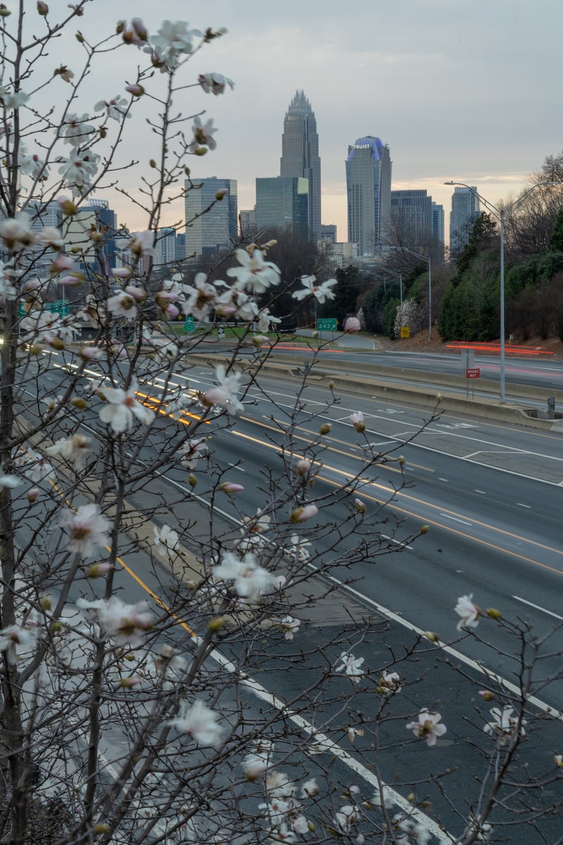 Hawthorne Lane Bridge Skyline View