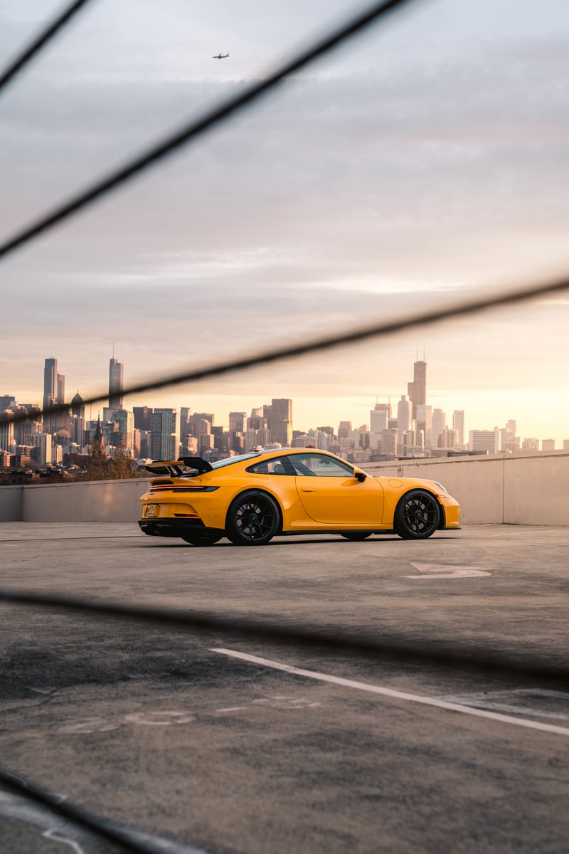 Lincoln Park Rooftop Skyline View