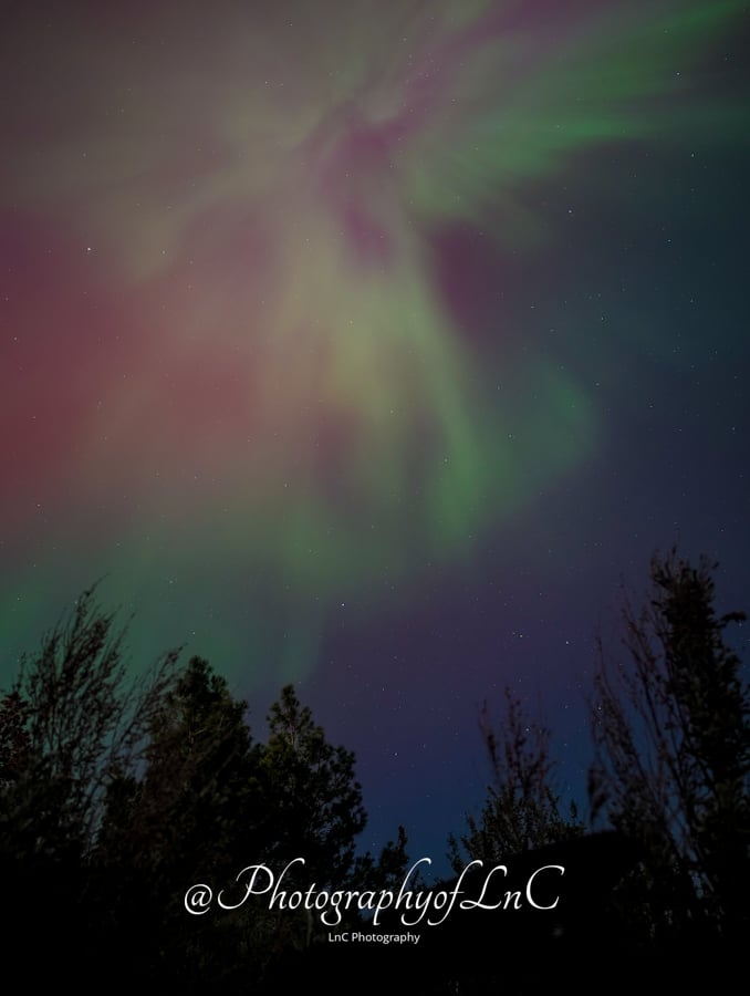 Ahtanum Forest Night Sky