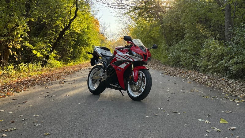 Busse Woods Forest Preserve