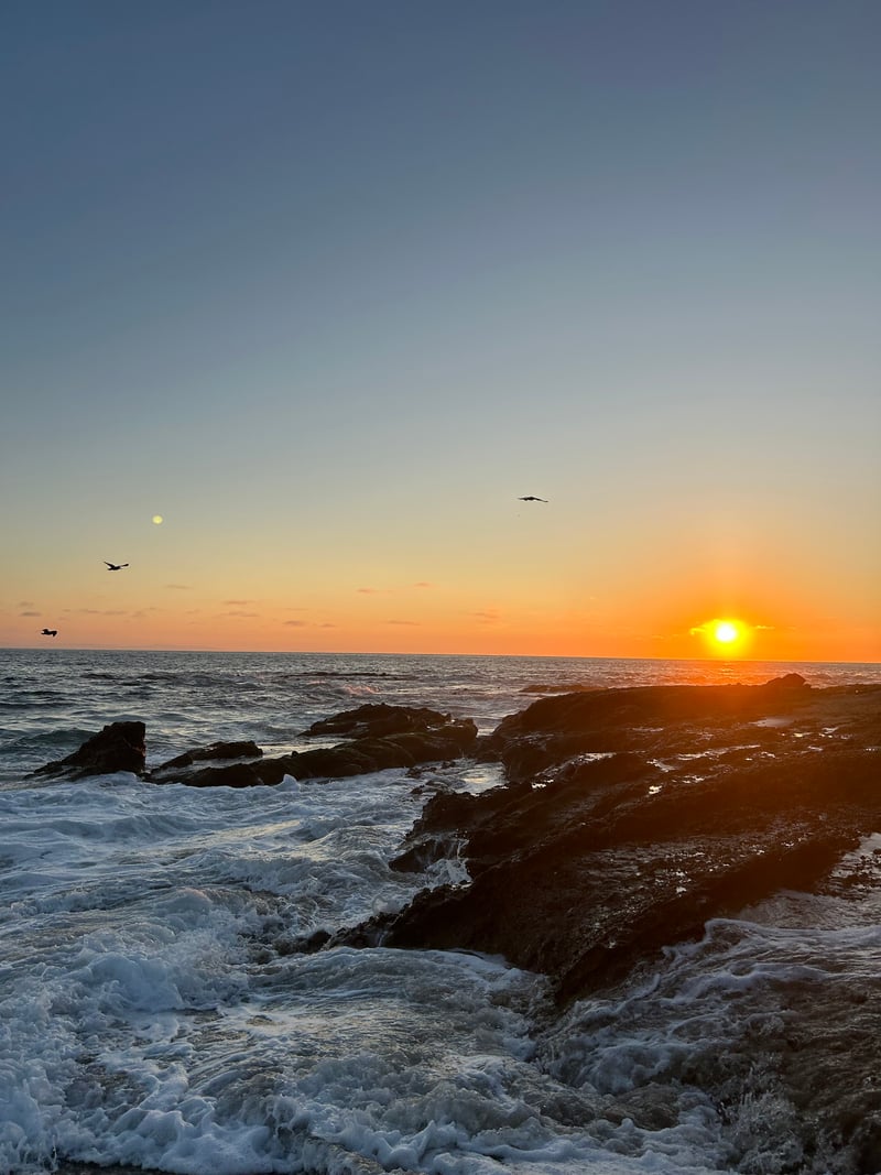 Laguna Beach Rocky Coastline