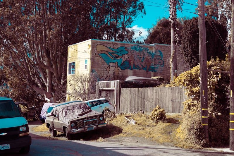 Edinburgh Street Neighborhood Mural