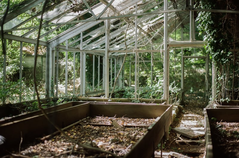 Abandoned Glen Mills Greenhouse