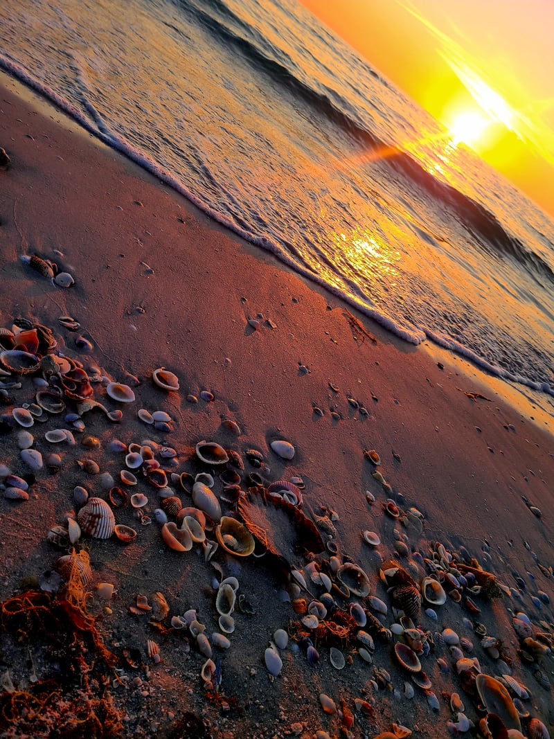 Pine Island Park Beach