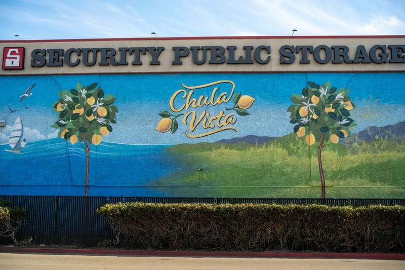 Chula Vista Lemon Mural
