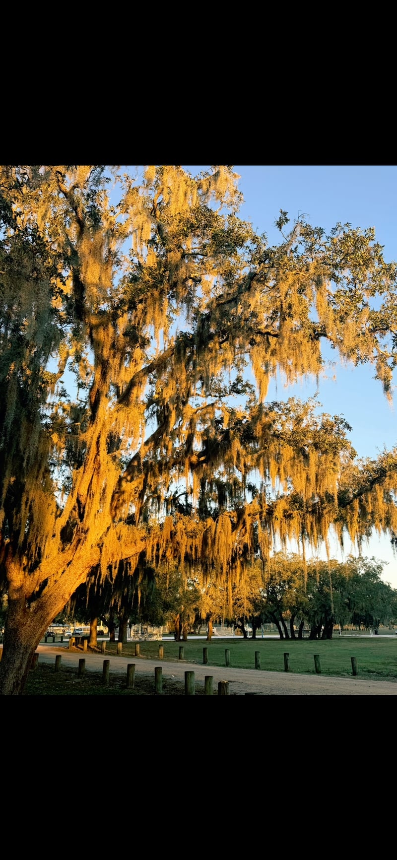 Sydney Dover Conservation Park