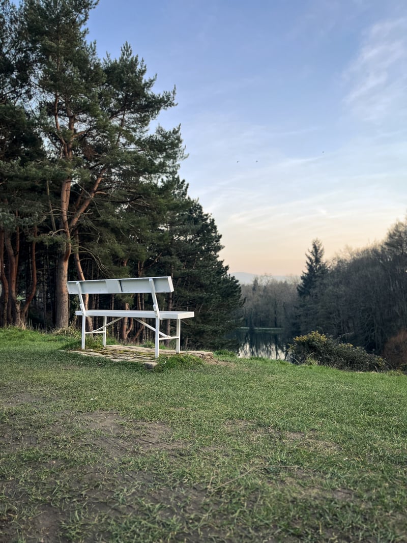 Furry Glen Viewpoint