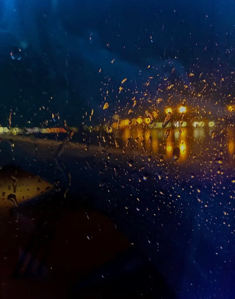 Downtown Tampa Nightscape