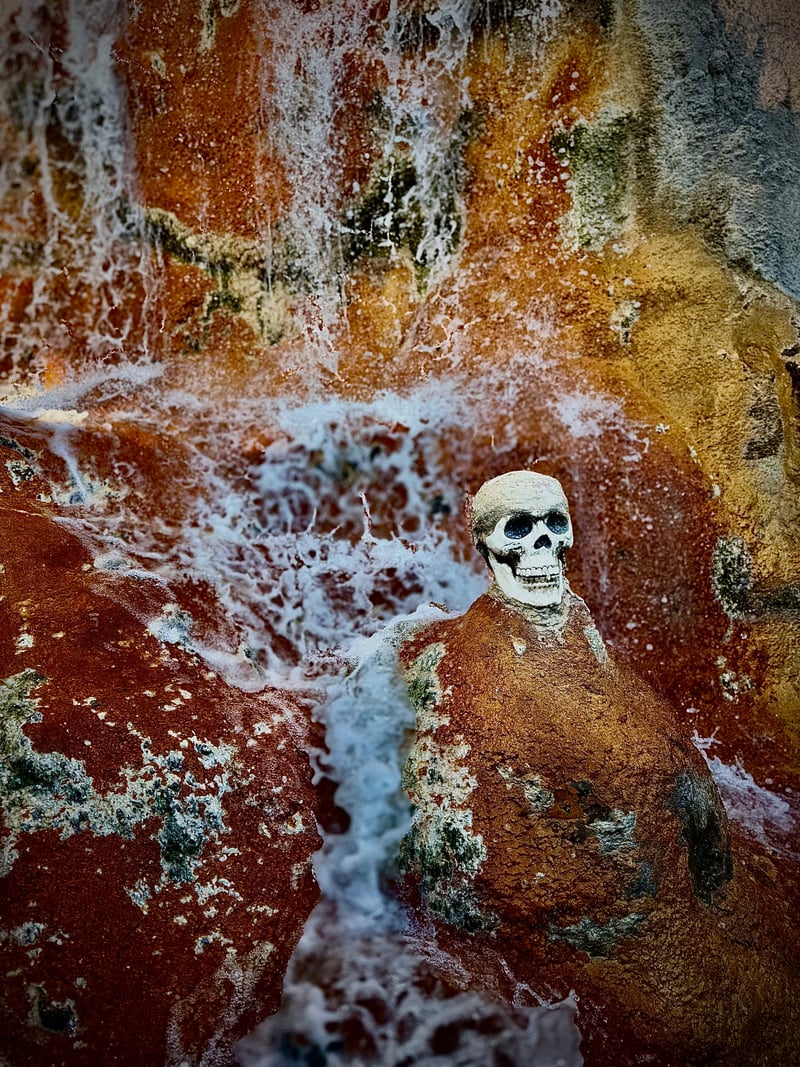 Smugglers Cove Adventure Golf