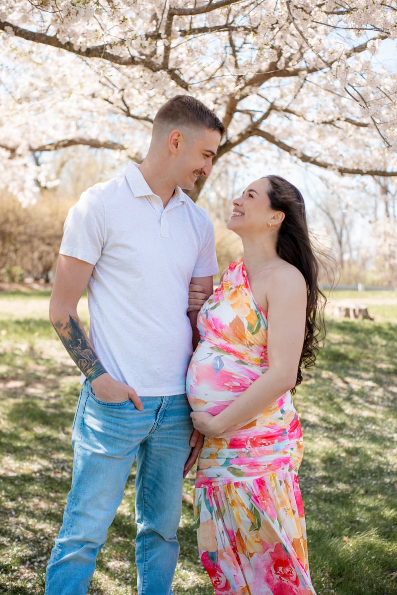 Fort Belvoir Cherry Blossoms