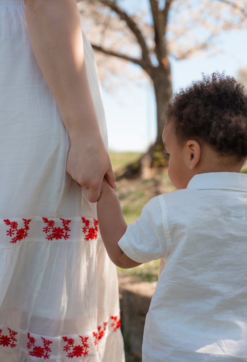 Fort Belvoir Cherry Blossoms