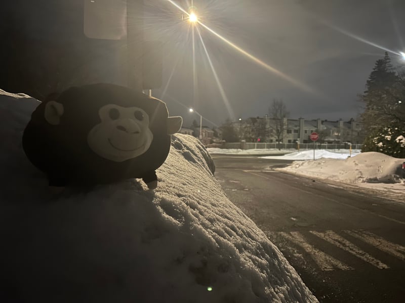 Gladewoods Place Winter Streetscape