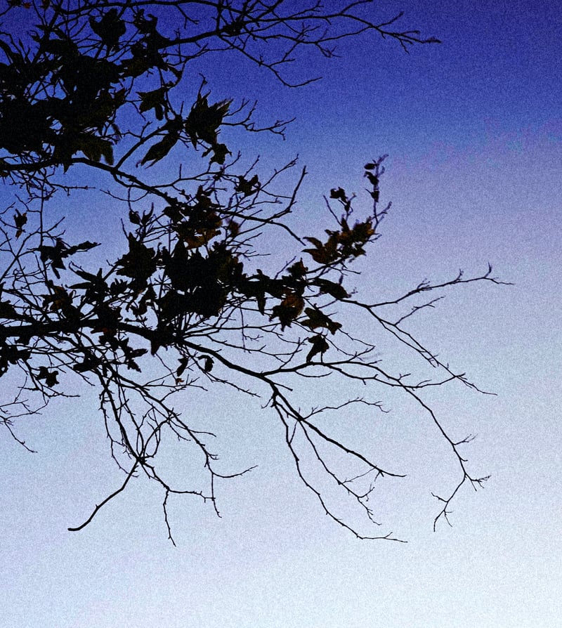 El Paso Twilight Silhouette