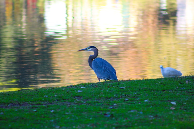 Jeffrey Open Space Trail
