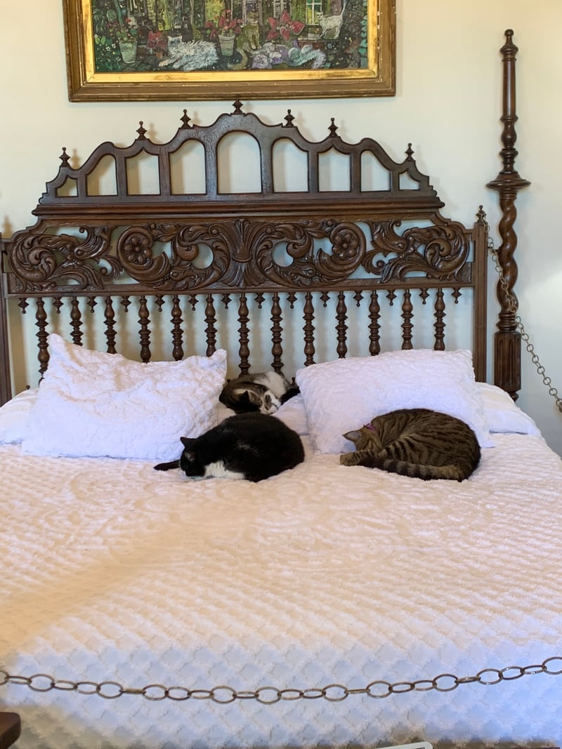 Ernest Hemingway Home and Museum